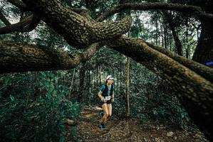 BIB: 
                            <button type="button" onclick="openModal(25708101)" class="btn btn-primary btn-sm float-right btn-popup" data-toggle="modal" data-target=".modal-high-quality">
                        <i class="fas fa-shopping-cart"></i> Add to Cart
                    </button>
                                            <button type="button" onclick="isThisMe(25708101, true)" class="btn btn-success btn-sm float-right btn-popup btn-isme hidden" data-toggle="tooltip" data-placement="bottom" title="นี่คือรูปของคุณใช่ไหม คลิกที่นี่เพื่อเอาเข้าอัลบั้ม">
                        <i class="fas fa-plus"></i> Add to album
                    </button>
                    <button type="button" onclick="isThisMe(25708101, false)" class="btn btn-warning btn-sm float-right btn-popup btn-isnotme hidden">
                        <i class="fas fa-ban"></i> Remove from album
                    </button>